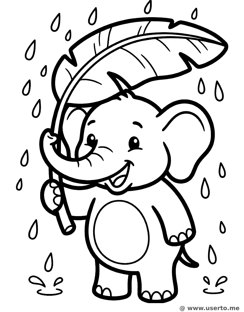O guarda-chuva de folha do elefante