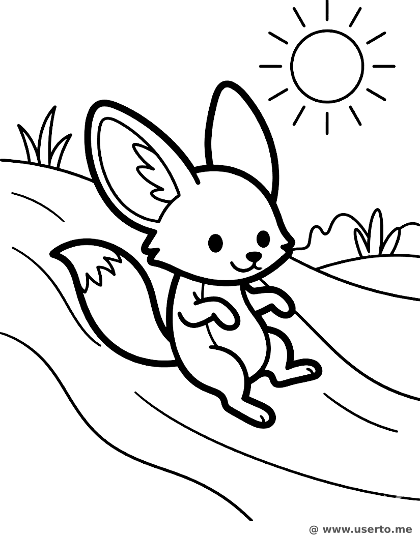 사막여우의 모래 언덕 미끄럼틀