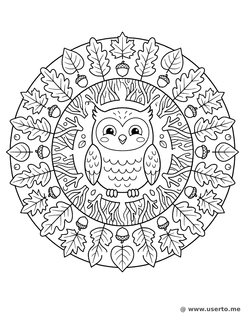 신비로운 부엉이 숲 만다라