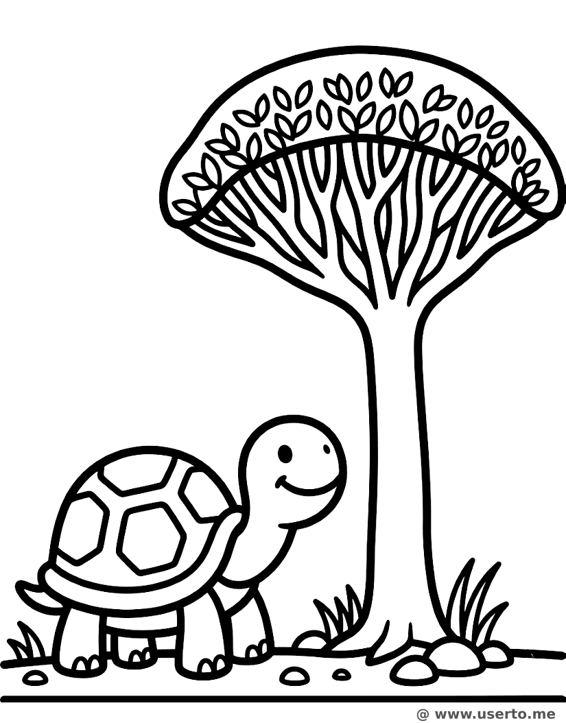 Socotra Island Turtle Friend