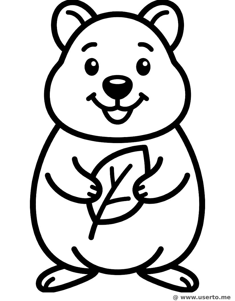 O lanchinho de folha do Quokka feliz