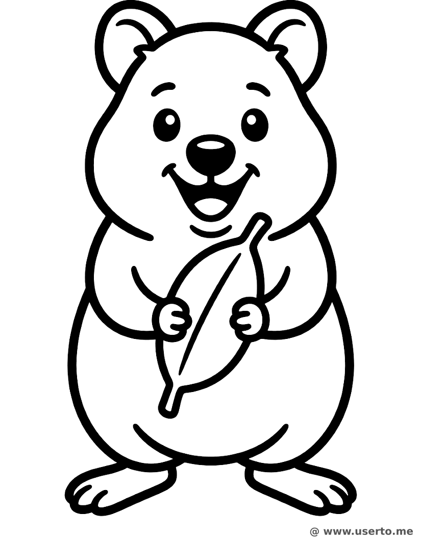 Snackzeit für das grinsende Quokka