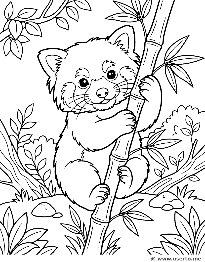 Red Panda's Bamboo Adventure