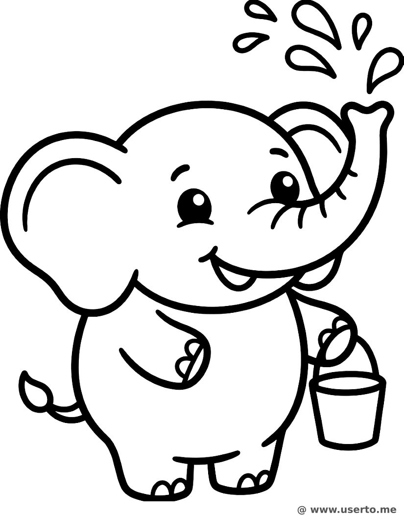 Splash do Elefante Holi
