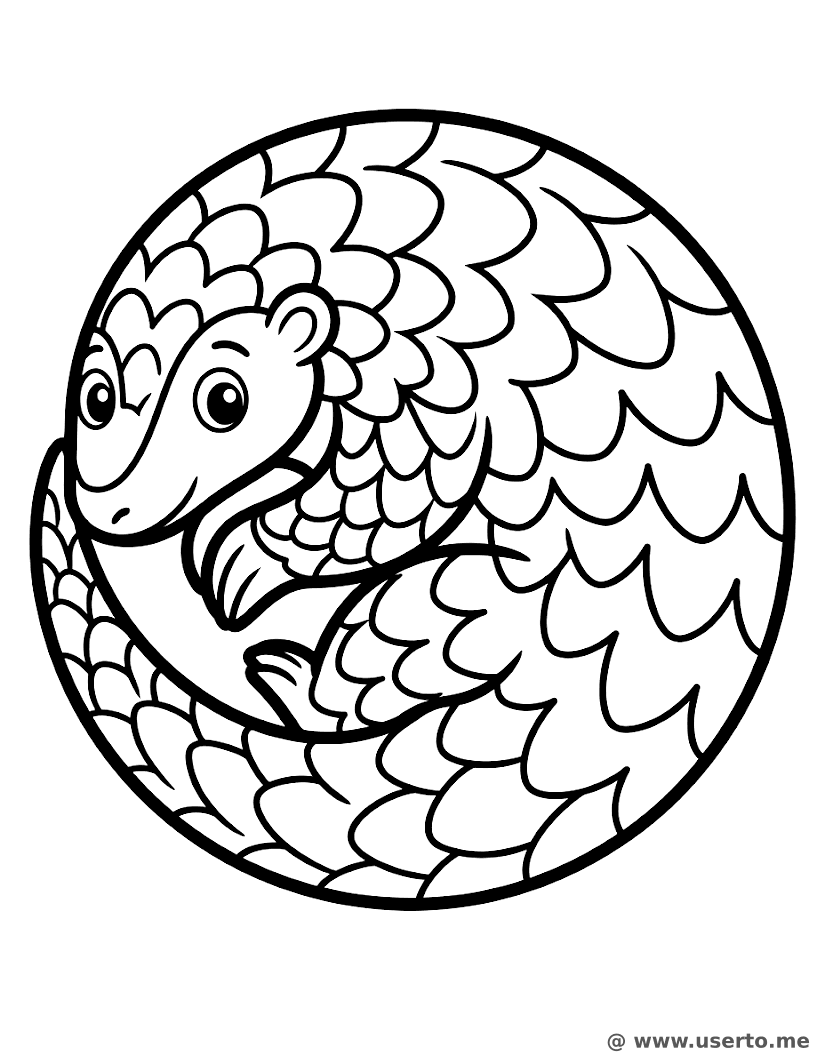 El Pangolín Saltarín Juguetón