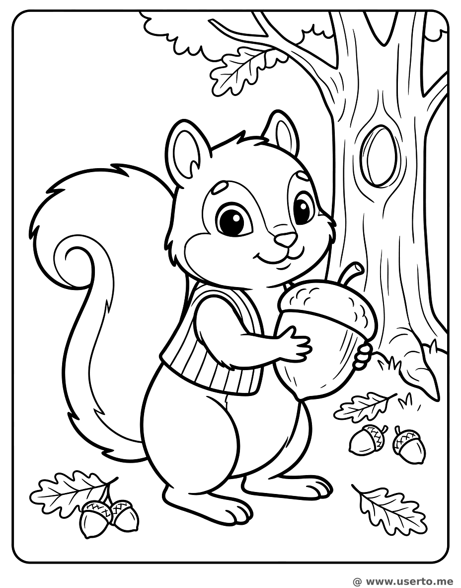 Der Waldschatz des Eichhörnchens