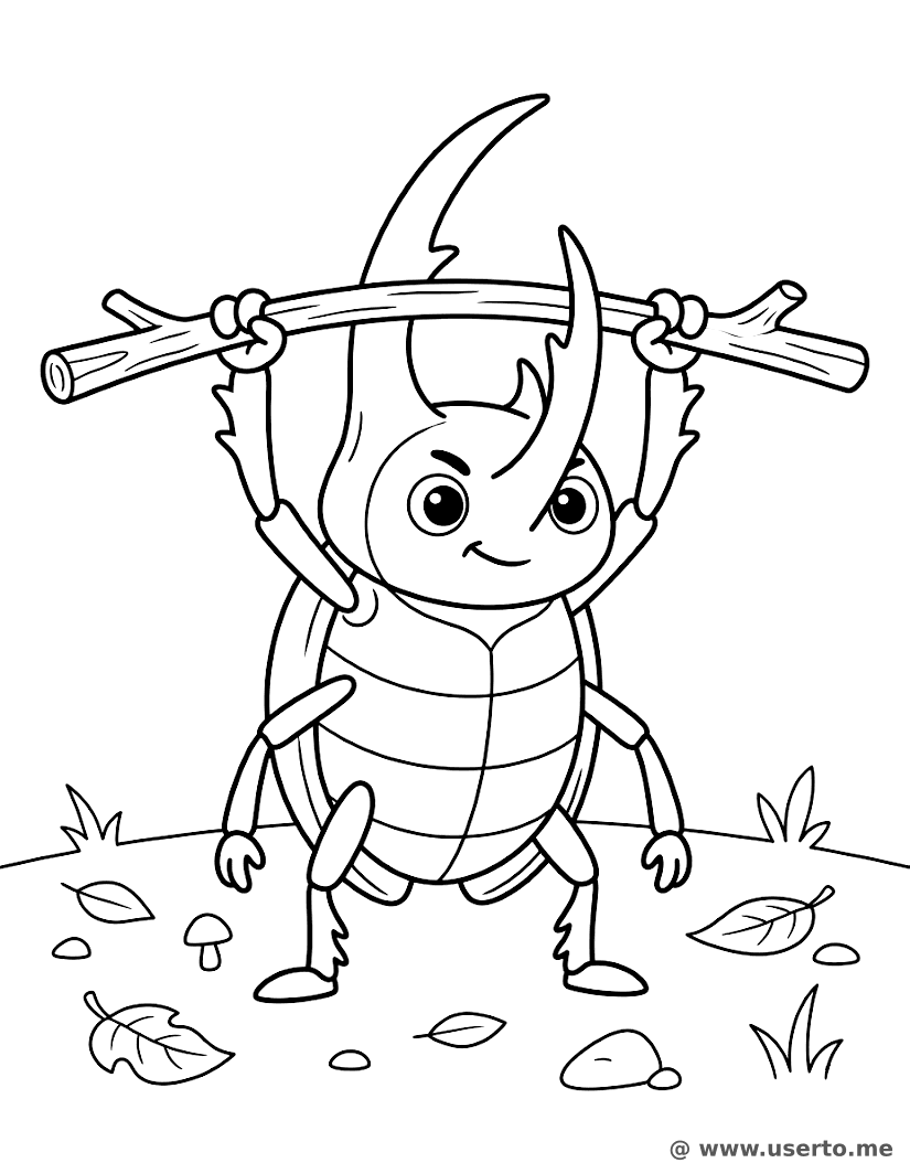 천하장사 헤라클레스 장수풍뎅이 체육관