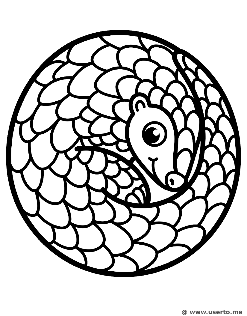 El escondite del pangolín tímido