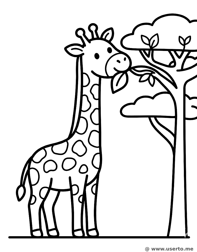 사바나의 아기 기린