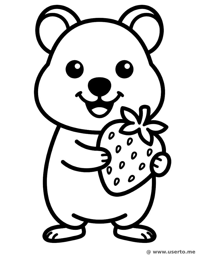 O lanchinho de morango do quokka feliz