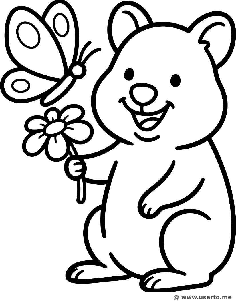 O Presente do Quokka Amigável