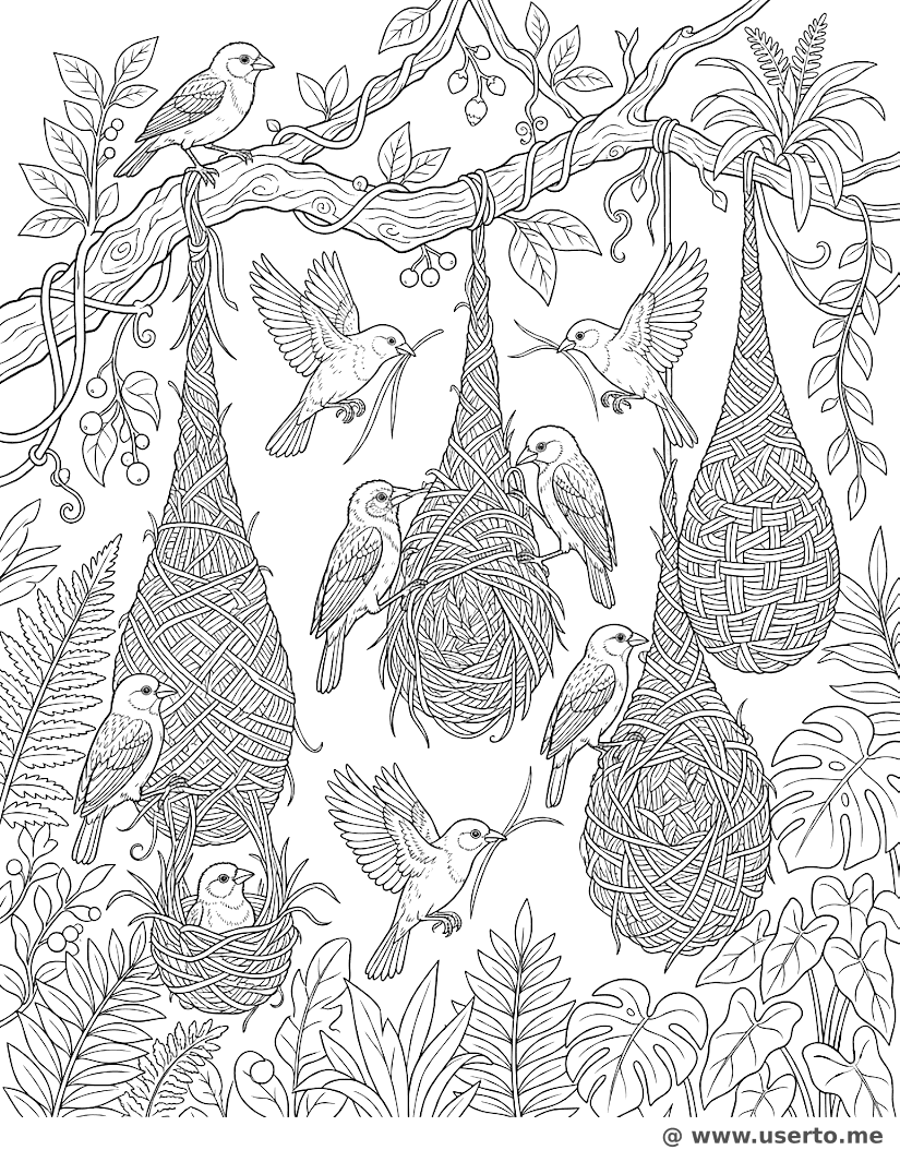 베짜기새의 매달린 나무집