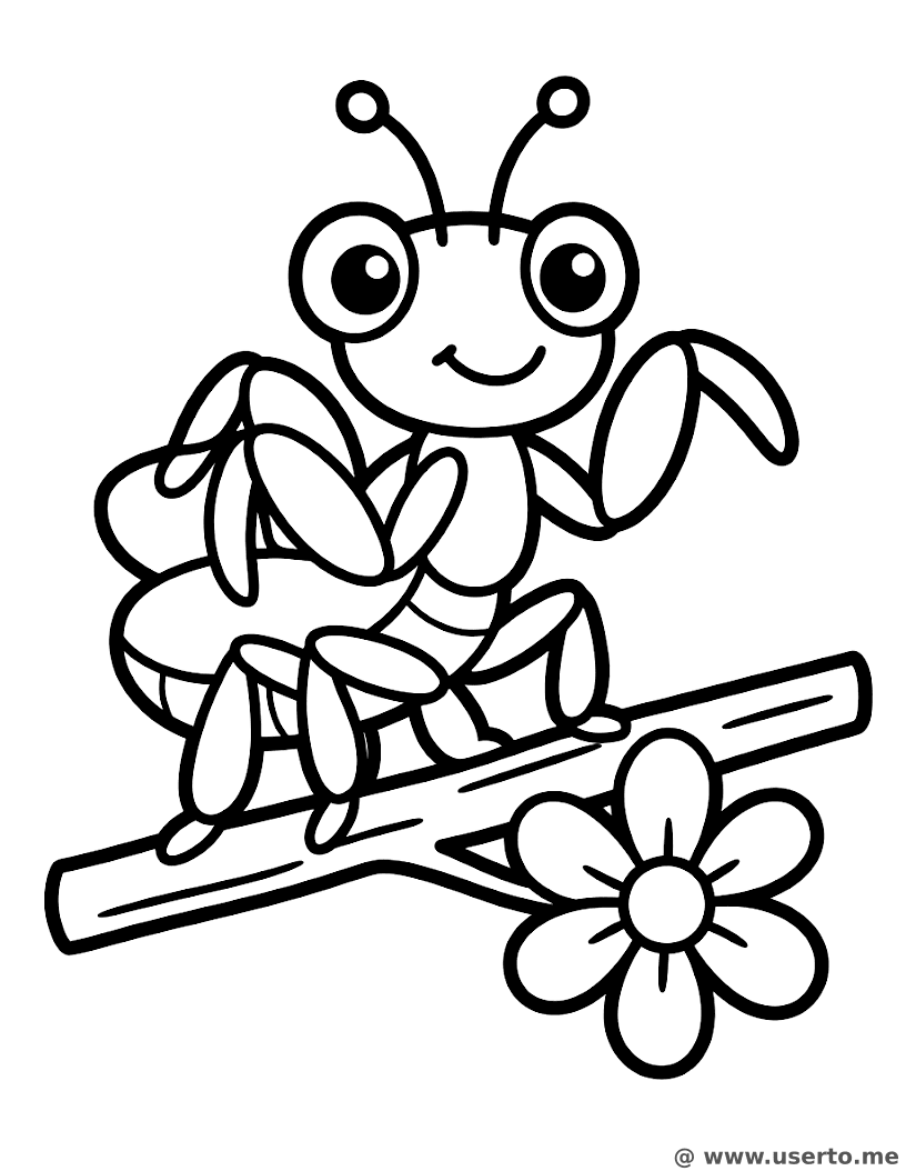 Rosa Orchideenmantis