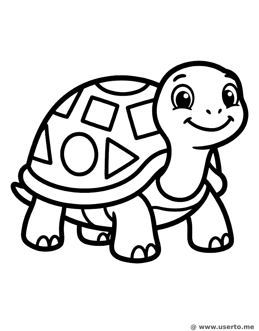 무늬가 있는 거북이 친구