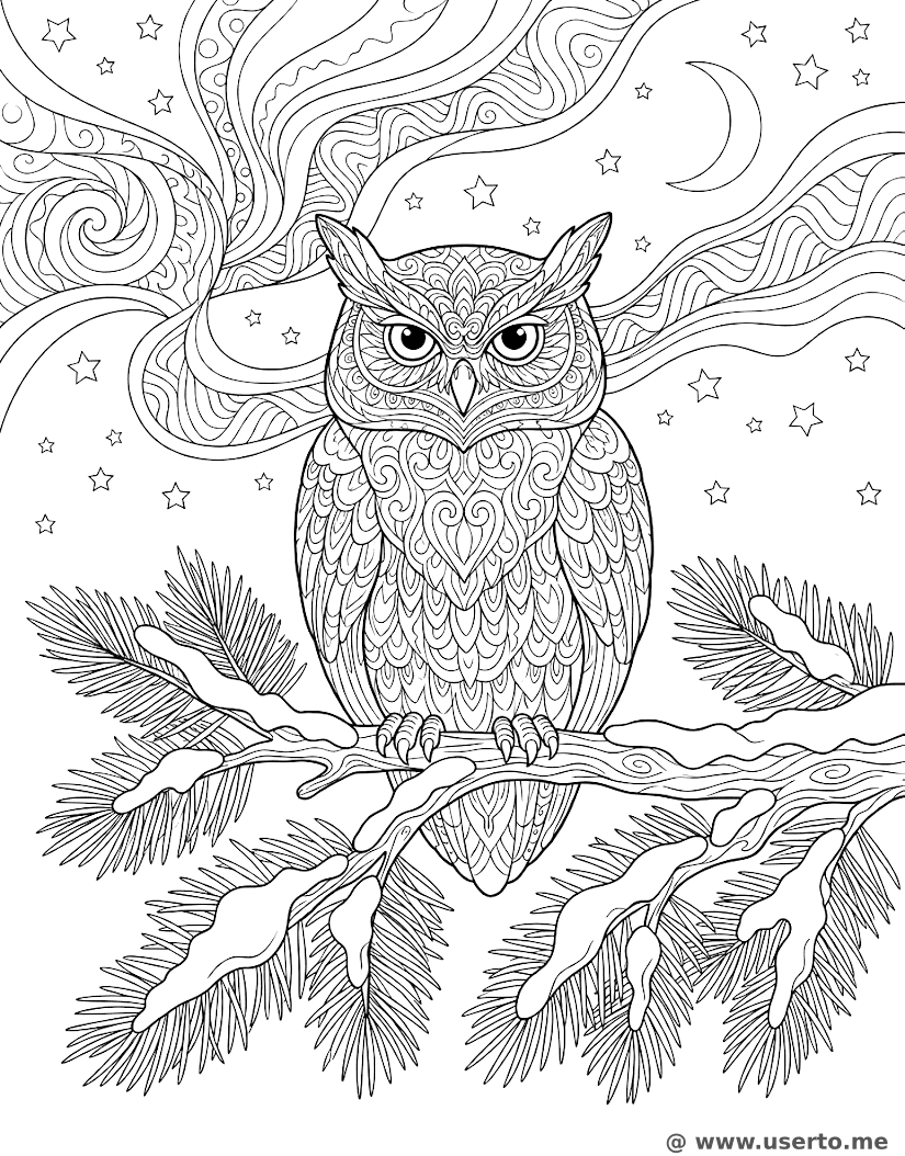 El baile de la aurora del búho ártico