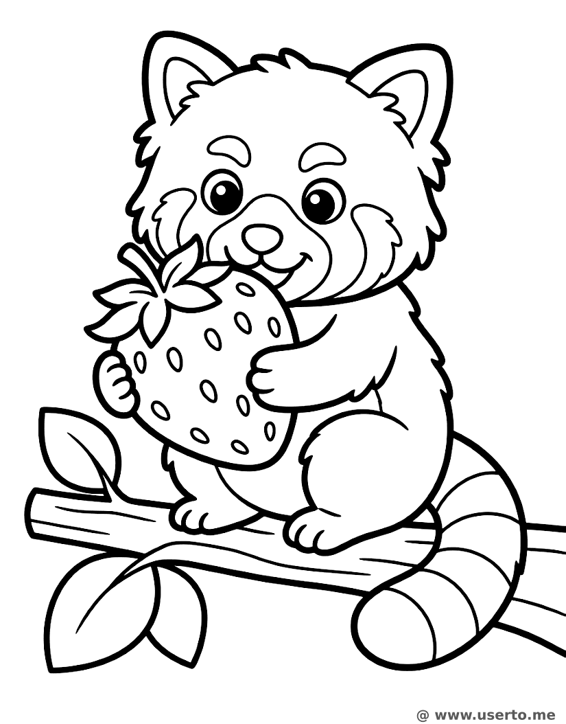 O Banquete de Frutas do Panda Vermelho