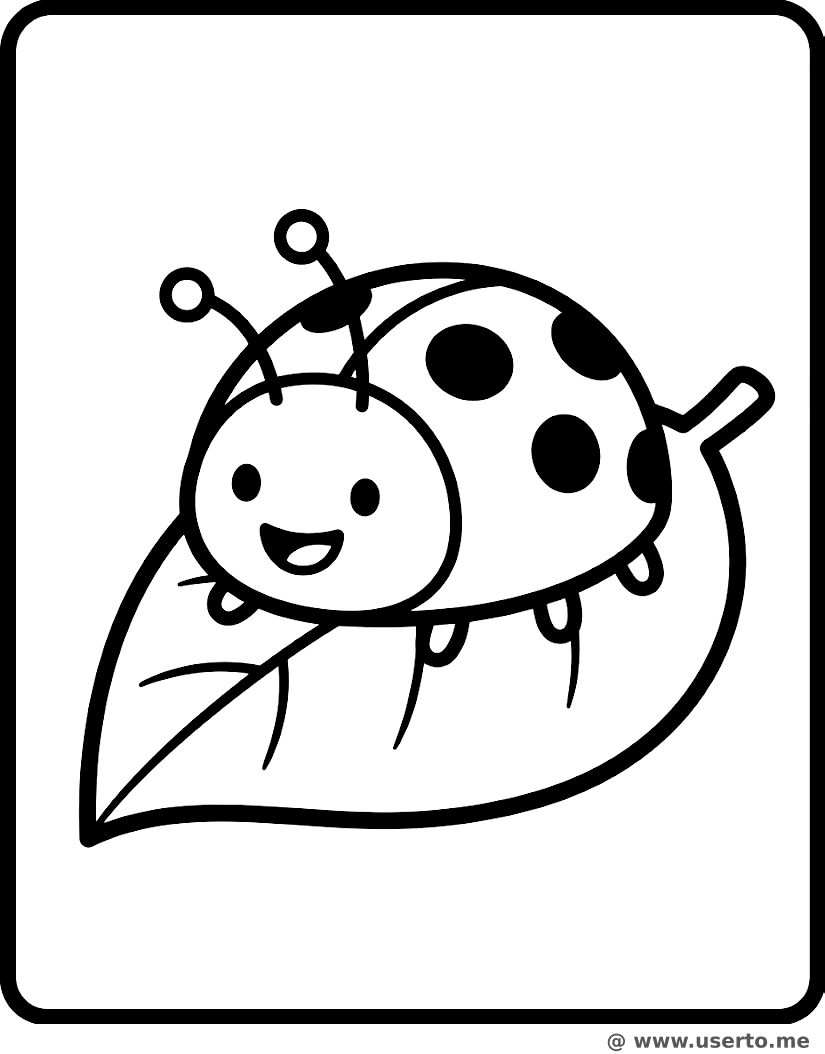 O Descanso da Joaninha Feliz