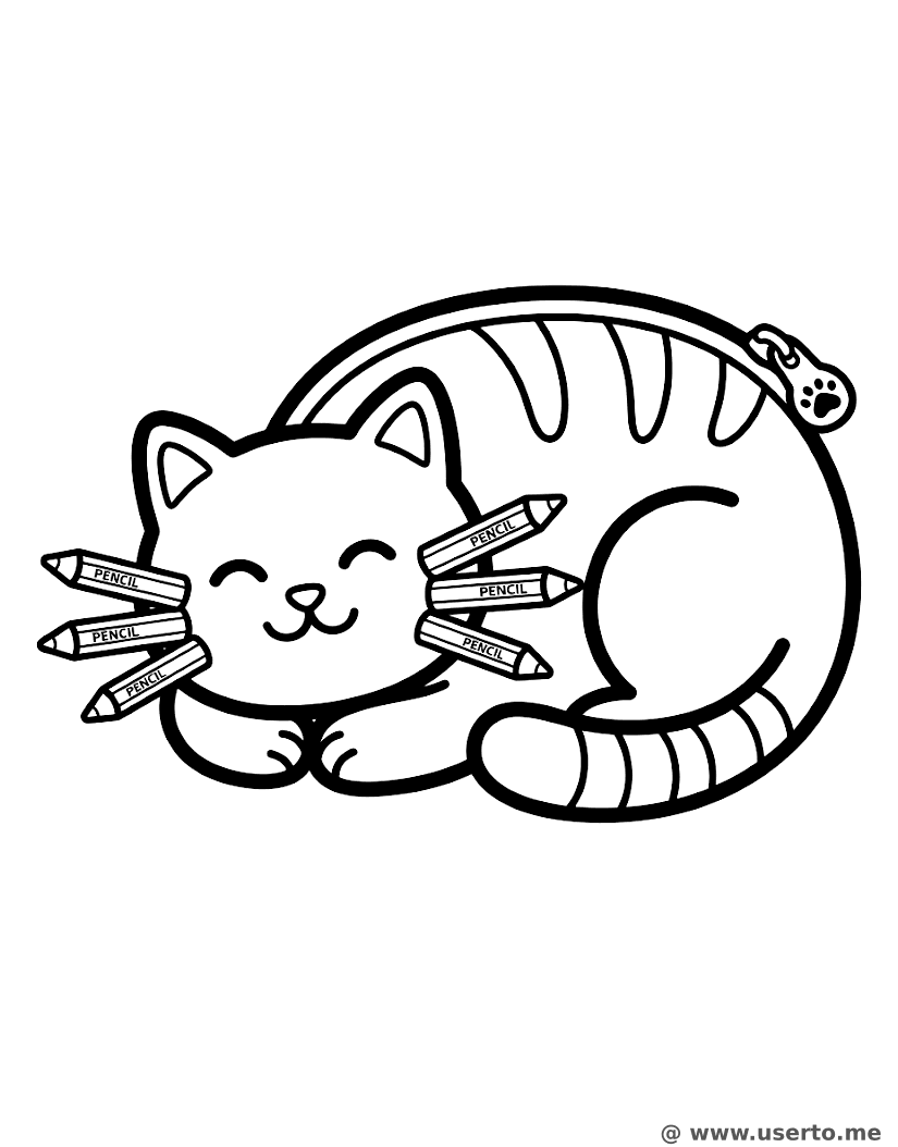 Nap Time for Cat Pencil Case