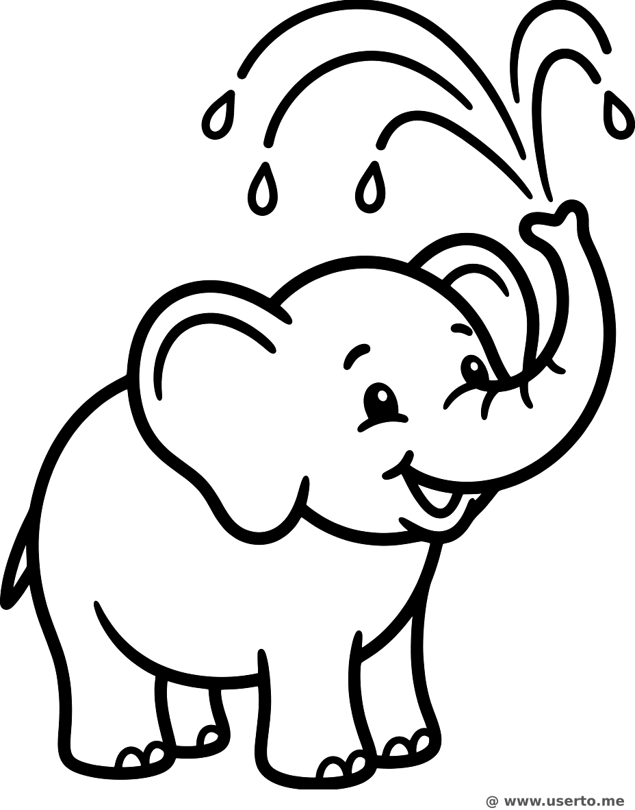 행복한 코끼리의 물놀이 파티