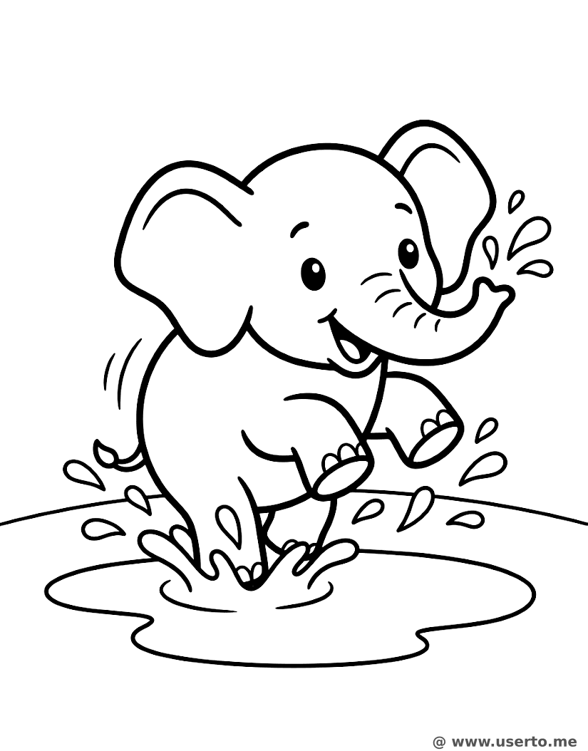 O mergulho do bebê elefante