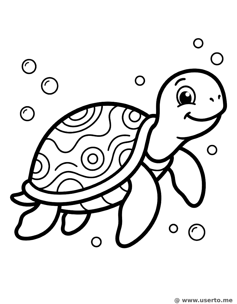 Happy Turtle Shell Pattern