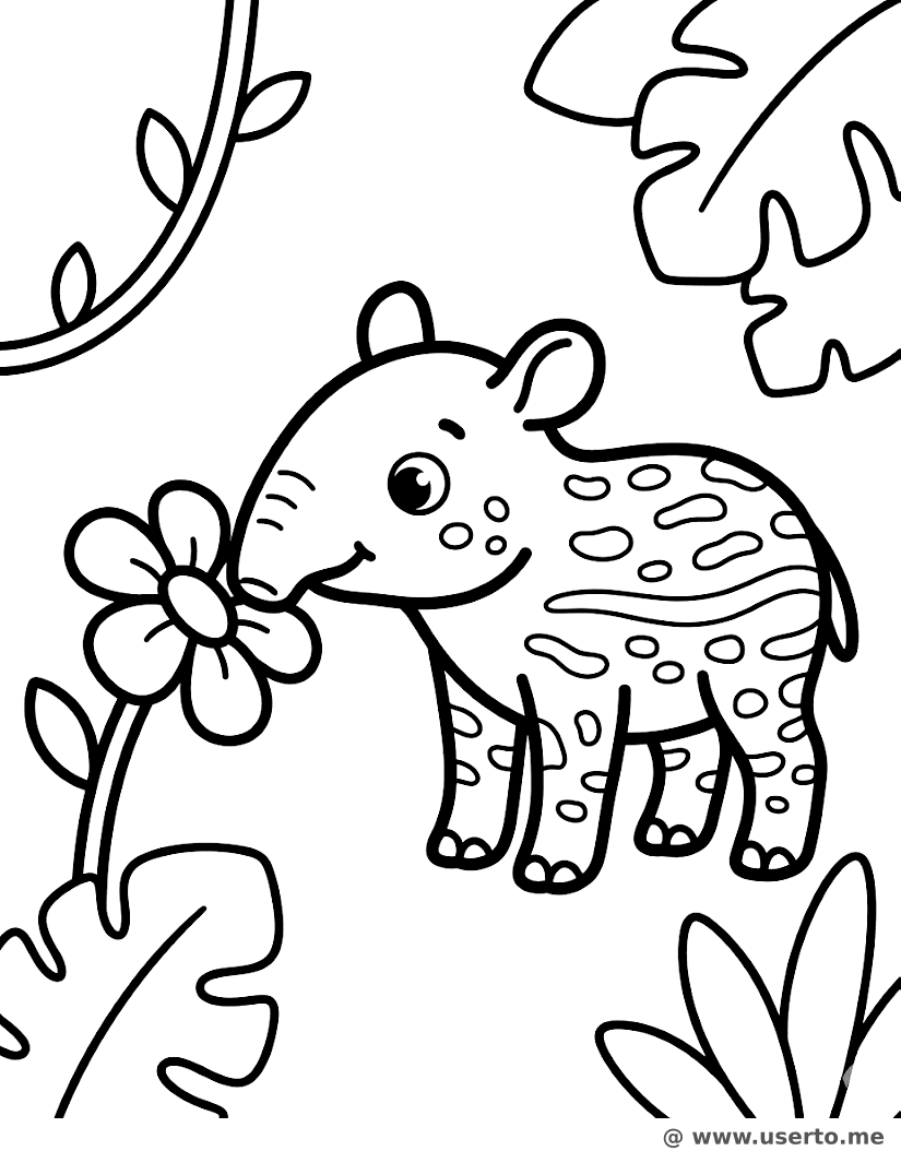 A caçada às flores da Anta pintada