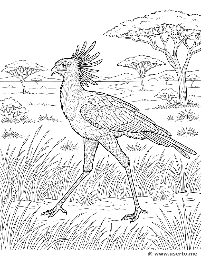 El Majestuoso Pájaro Secretario