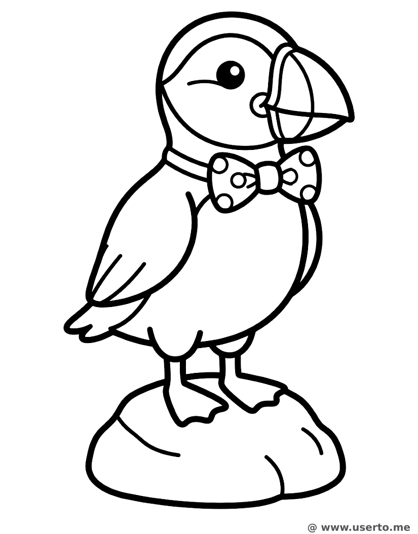 Schicker Papageitaucher mit Fliege