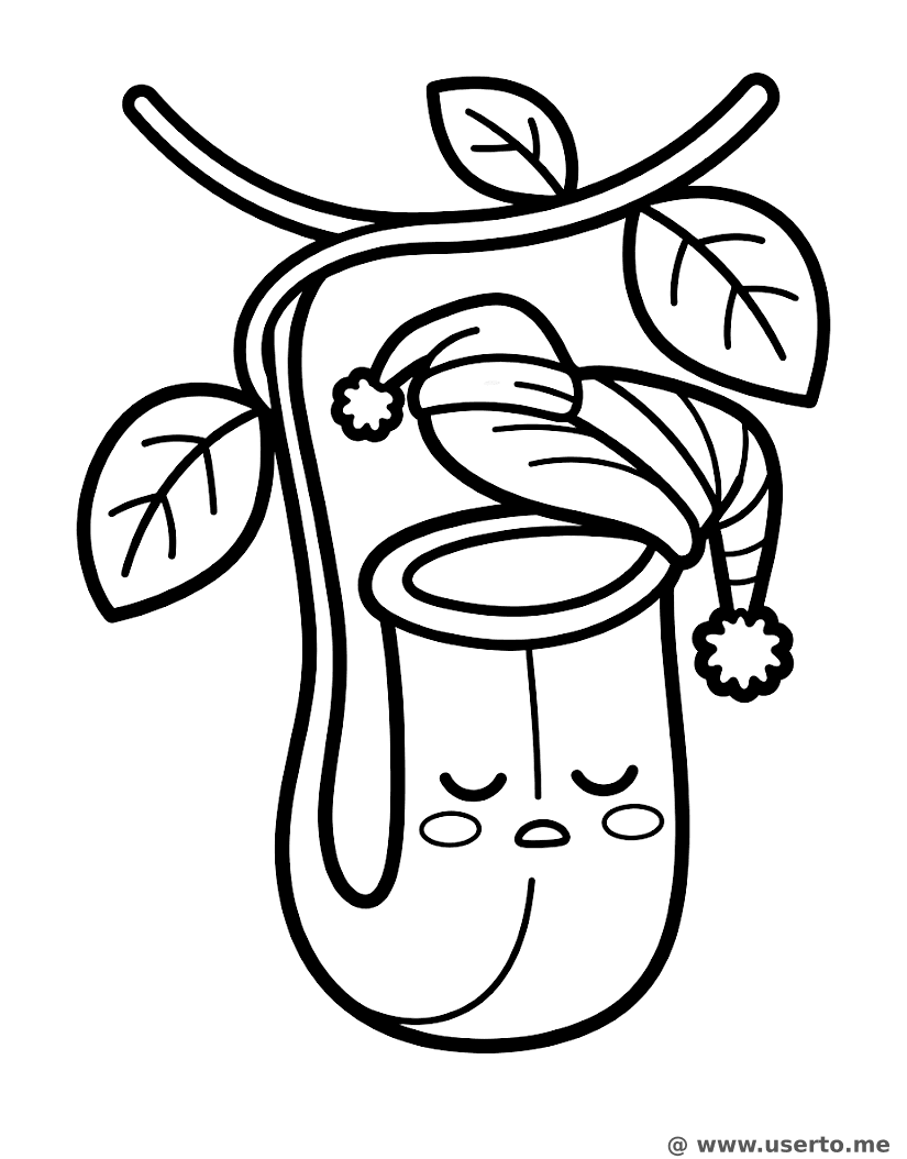 Sleepy Pitcher Plant's Nap