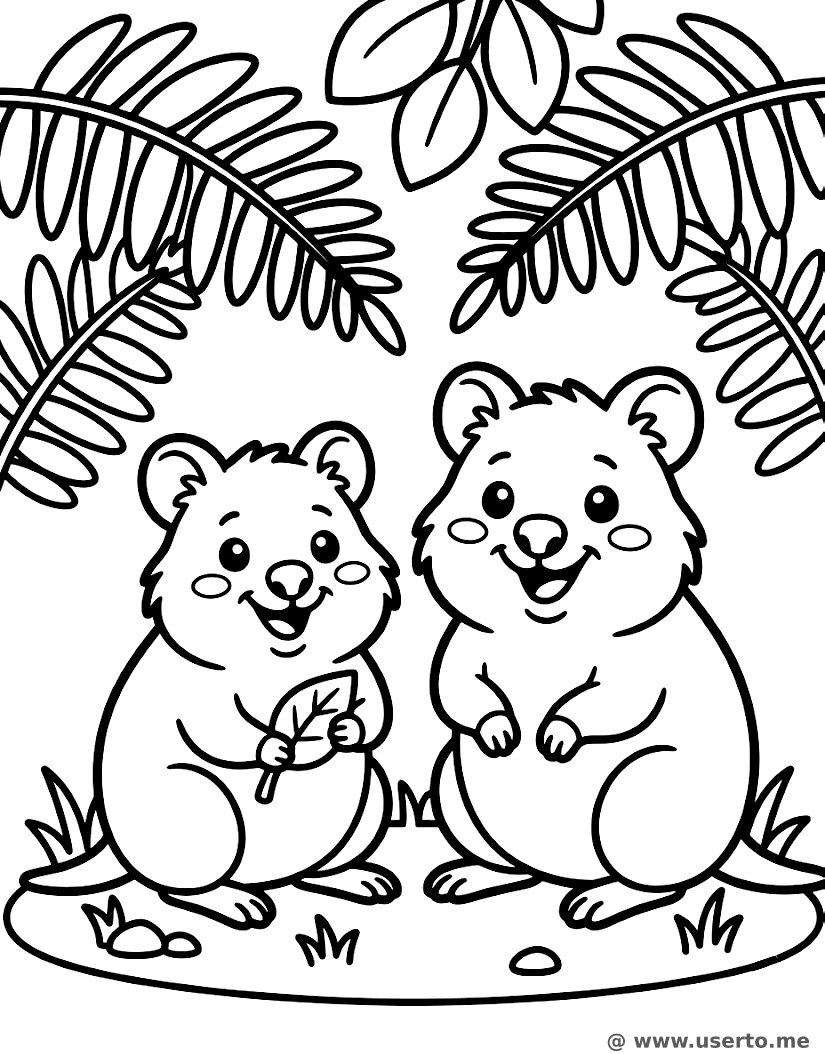 Quokkas Risueños en los Helechos