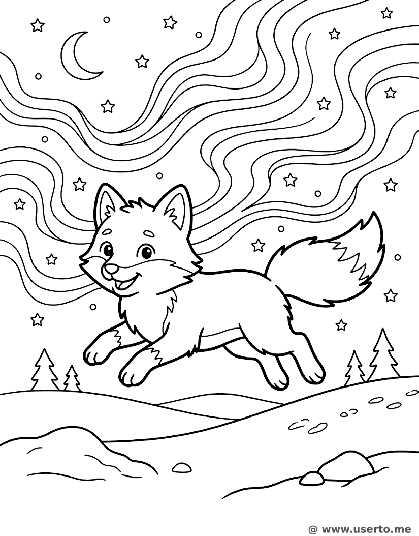 북극여우와 오로라