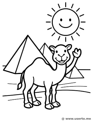 Kamel-Abenteuer bei den Pyramiden