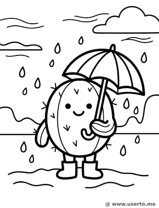 우산을 쓴 행복�� 선인장