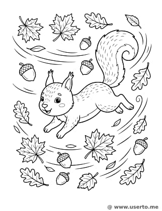La ardilla y la danza de las hojas