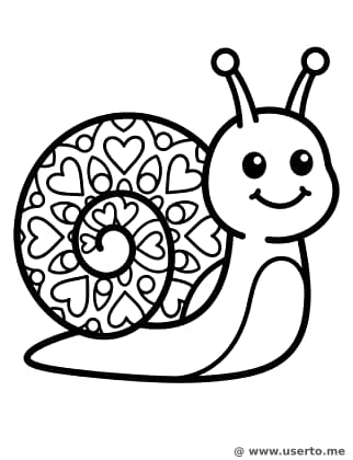 Happy Snail's Spiral Shell