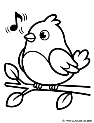 A Canção da Manhã do Passarinho