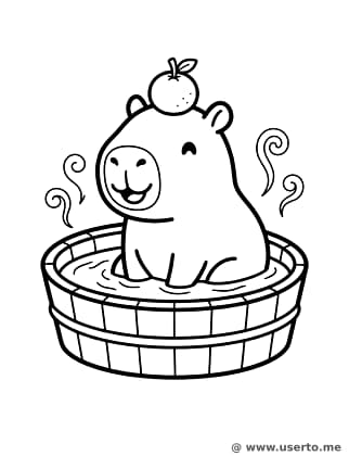 Capybara's Sunny Soak