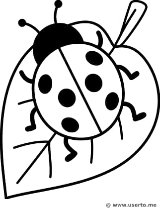 친절한 무당벌레의 산책