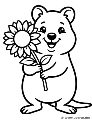 O presente de flor do quokka feliz