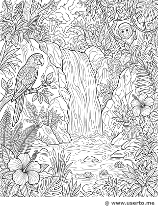 A Cachoeira Escondida da Selva