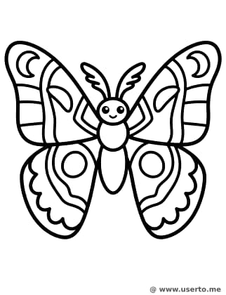 Die Landkarten-Flügel des riesigen Atlasspinners