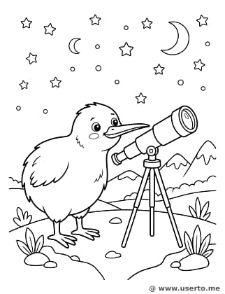 Observador de Estrellas Matariki