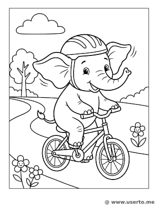 A Corrida de Bicicleta do Elefante