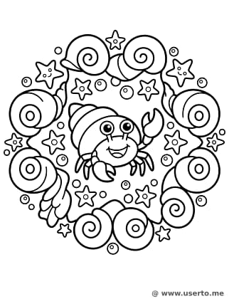 Divertida Mandala de Conchas do Mar