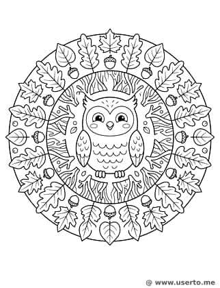 Mandala del Bosque del Búho Místico
