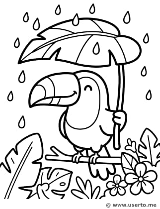 Tukan's riesiger Blatt-Regenschirm