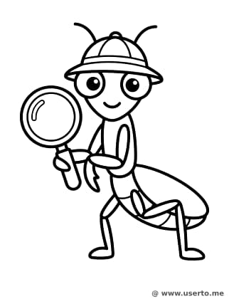 A Brava Louva-a-deus Exploradora