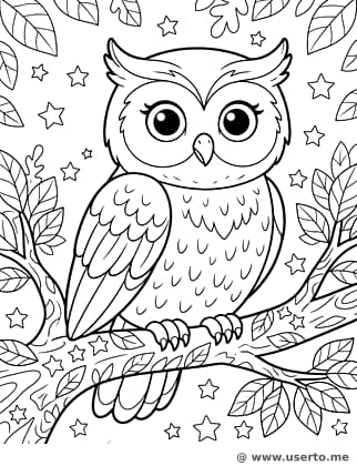 한밤중 부엉이�� 별빛 깃털