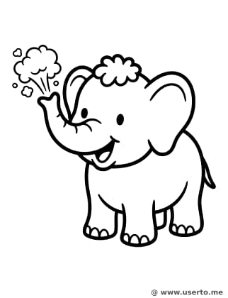 Happy Holi Baby Elephant