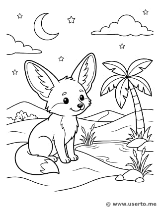 Desert Fox's Starlit Oasis